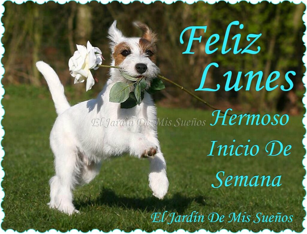 Feliz Lunes, hermoso inicio de semana