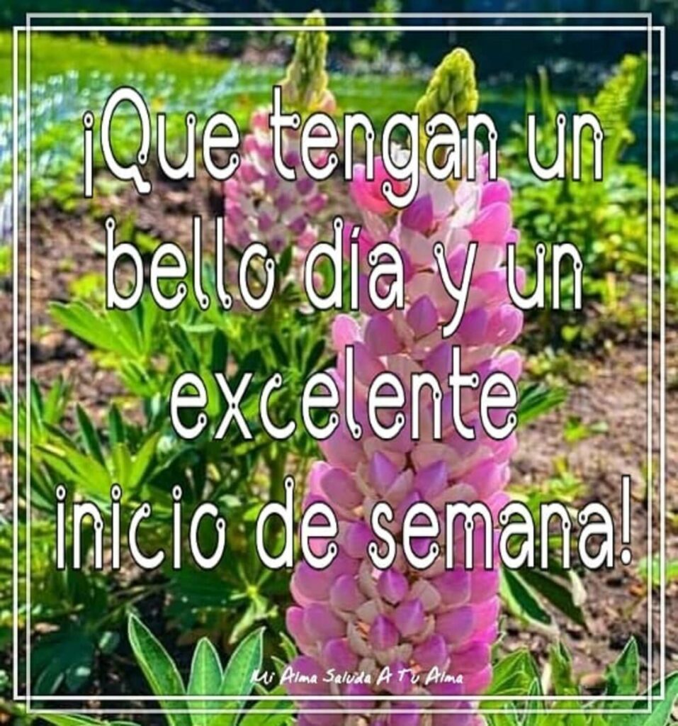 ¡Que tengan un bello día y un excelente inicio de semana!