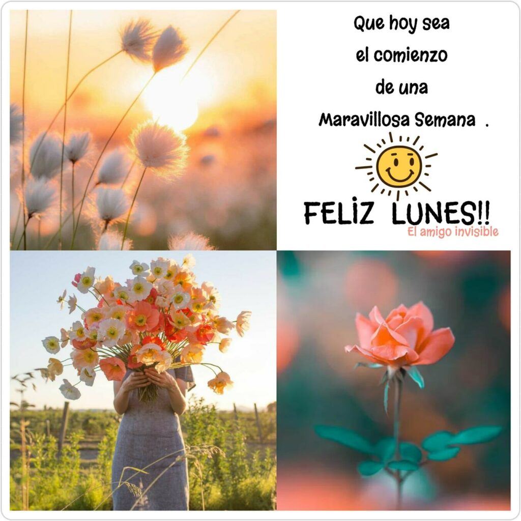 Que hoy sea el comienzo de una maravillosa semana: FELIZ LUNES !!!