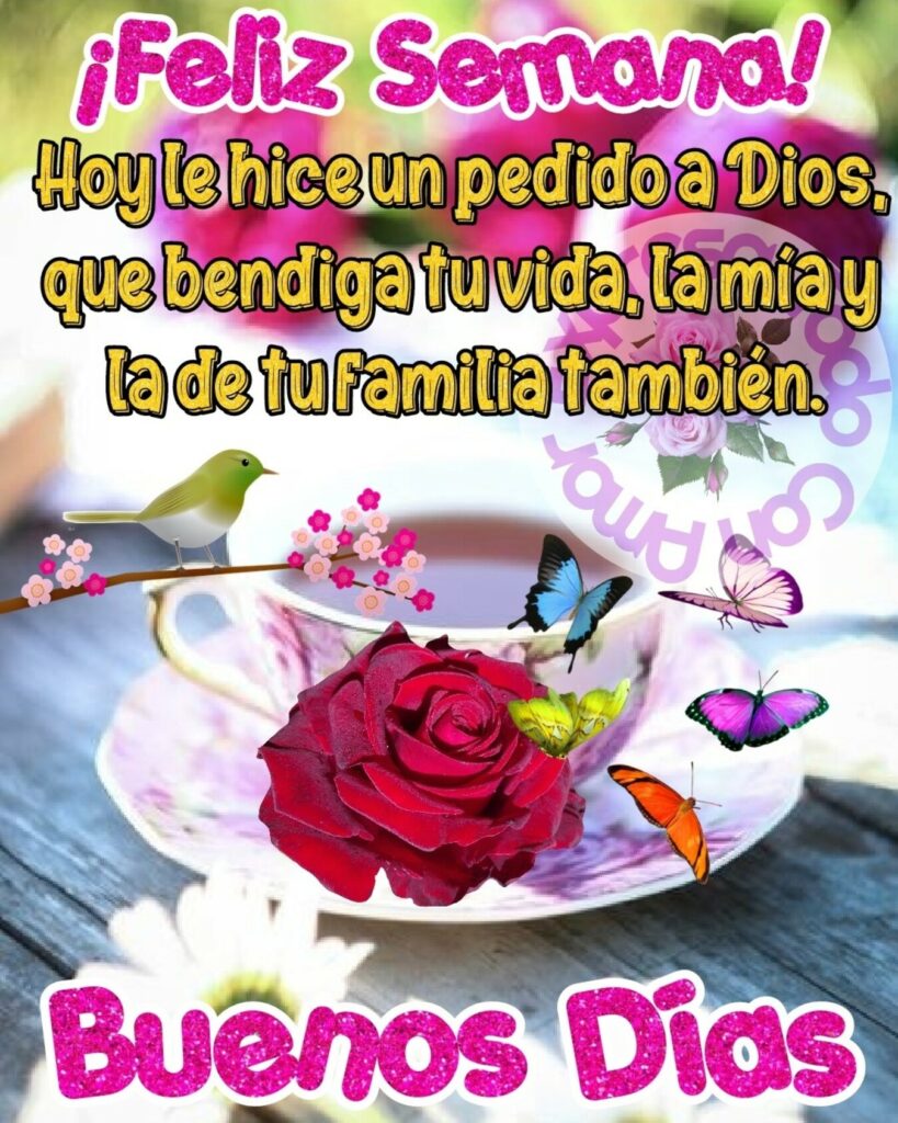 ¡FELIZ SEMANA, BUENOS DÍAS! Hoy le hice un pedido a Dios, que bendiga tu vida, la mia y la de tu familia también.