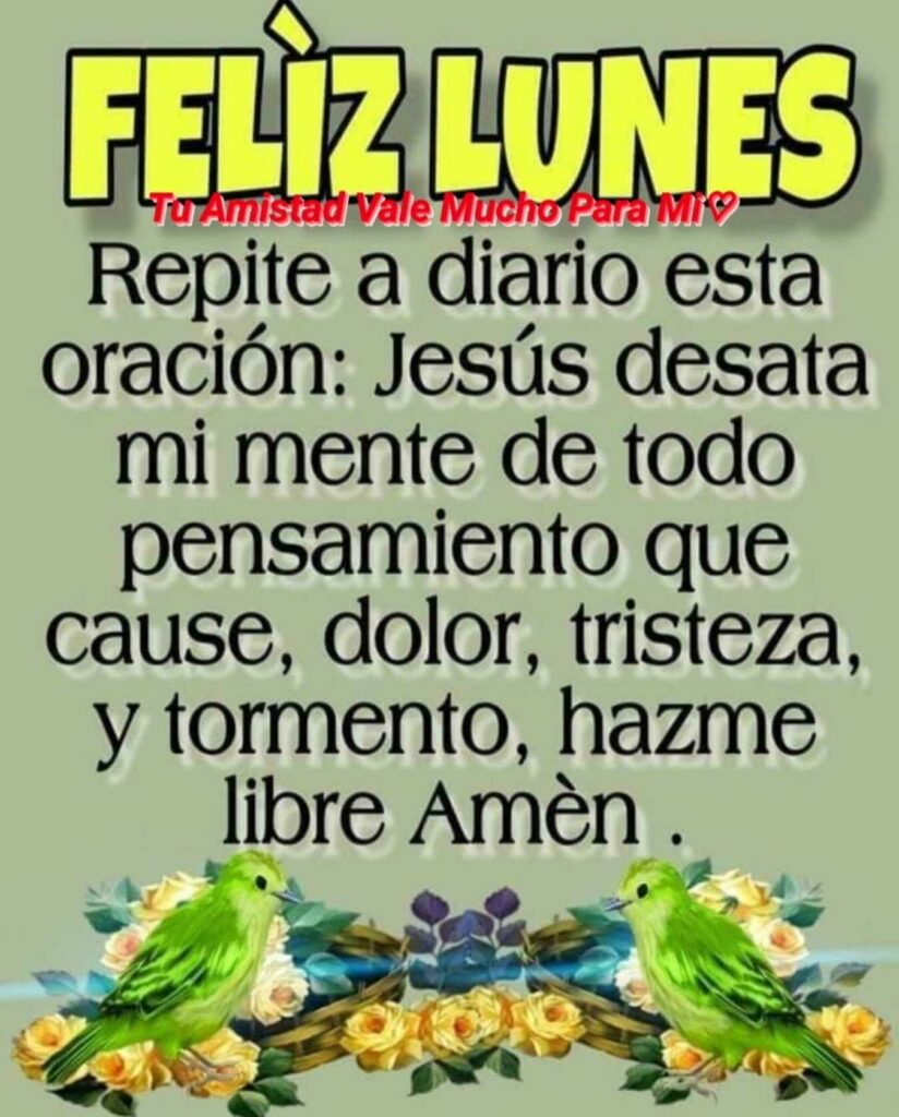 FELIZ LUNES: Recite a diario esta oración: Jesús desata mi mente de todo pensamiento que cause, dolor, tristeza, y tormento, hazme libre Amén.