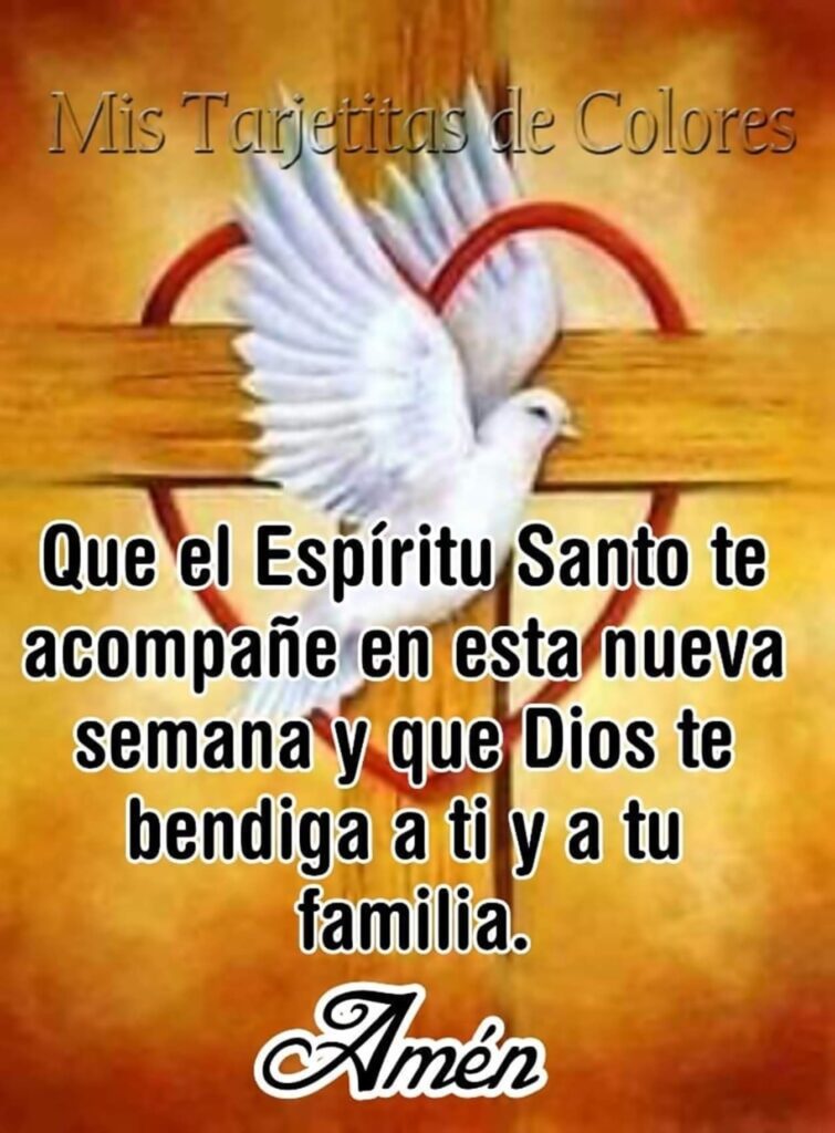 Que el Espíritu Santo te acompañe en esta nueva semana y que Dios te bendiga a ti y a tu familia. Amén