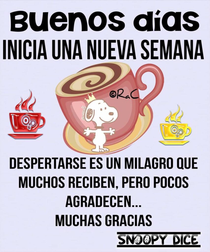 Buenos días: INICIA UNA NUEVA SEMANA. Despertarse es un milagro que muchos reciben, pero pocos agradecen... Muchas Gracias