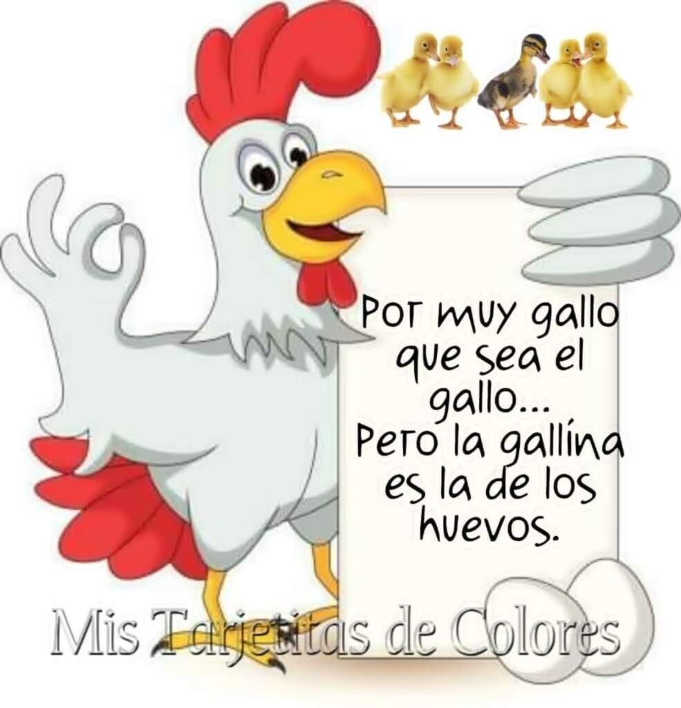 Por muy gallo que sea el gallo... Pero la gallína es la de los huevos.