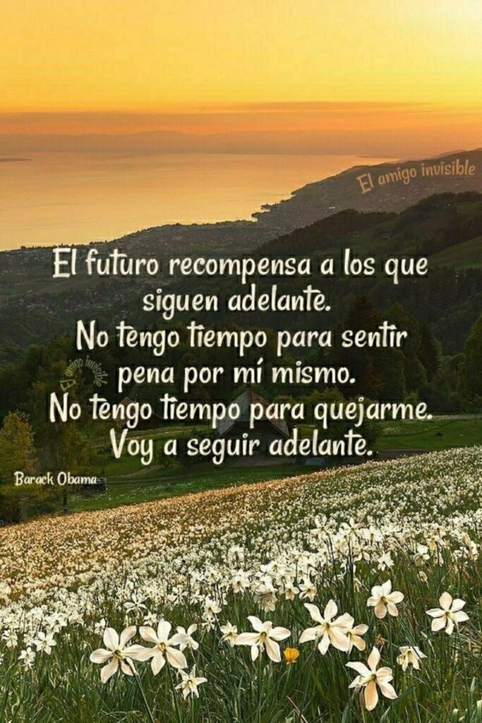 El furuto recompensa a los que siguen adelante. No tengo tiempo para sentir pena por mí mismo. No tengo tiempo para quejarme. Voy a seguir adelante. (Barack Obama)