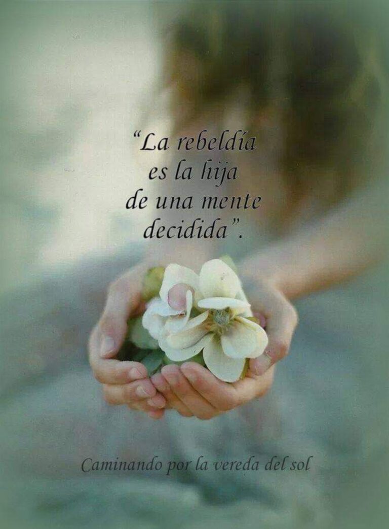 49+ Frases que te hacen reflexionar y pensar