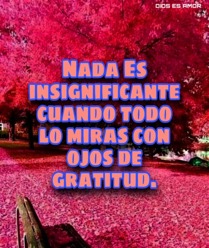 Nada es insignificante cuando todo lo miras con ojos de gratitud.