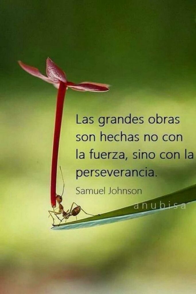 Las grandes obras son hechas no con la fuerza, sino con la perseverancia. - Samuel Johnson