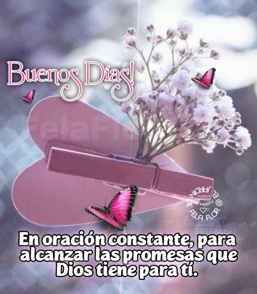 Buenos Días! En oración constante, para alcanzar las promesas que Dios tiene para tí.