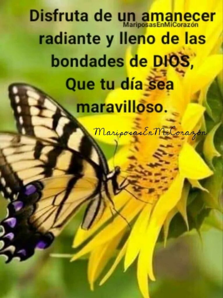 Disfruta de un amanecer radiante y lleno de las bondades de DIOS, que tu día sea maravilloso.