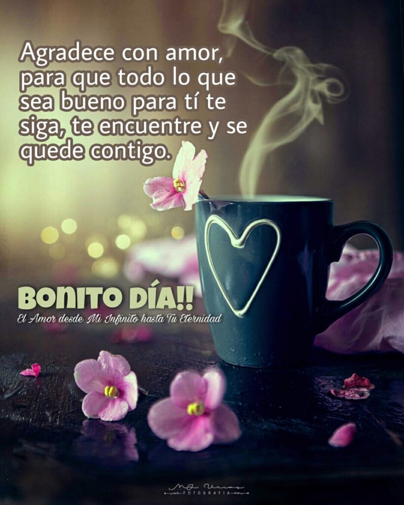 Agradece con amor, para que todo lo que sea bueno para tí te siga, te encuentre y se quede contigo. BONITO DÍA!