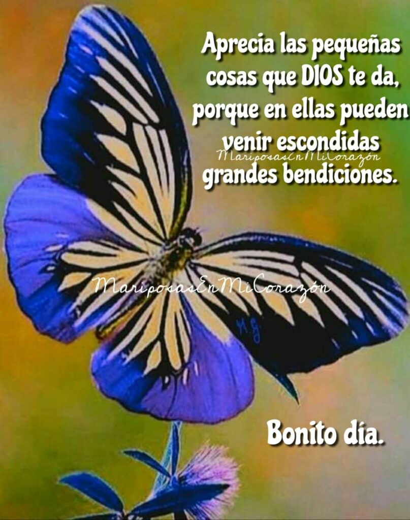 Aprecia las pequeñas cosas que DIOS te da, porque en ellas pueden venir escondidas grandes bendiciones. Bonito día.