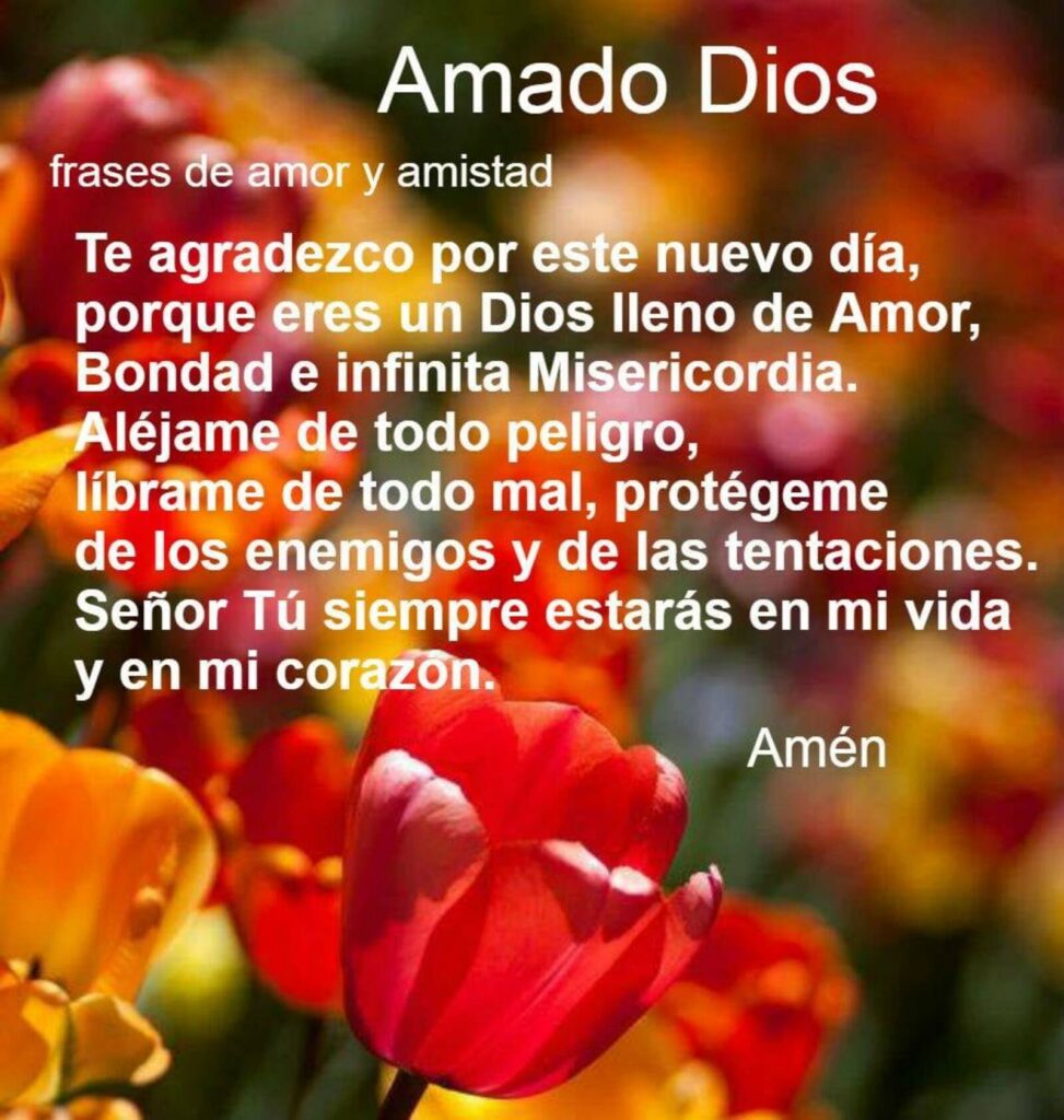 Amado Dios, te agradezco por este nuevo día, porque eres un Dios lleno de amor, bondad e infinita misericordia.....