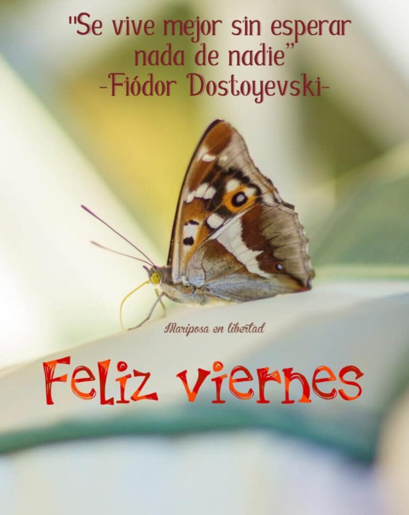 "Se vive mejor sin esperar nada de nadie." (Fëdor Dostoevskij) Feliz Viernes