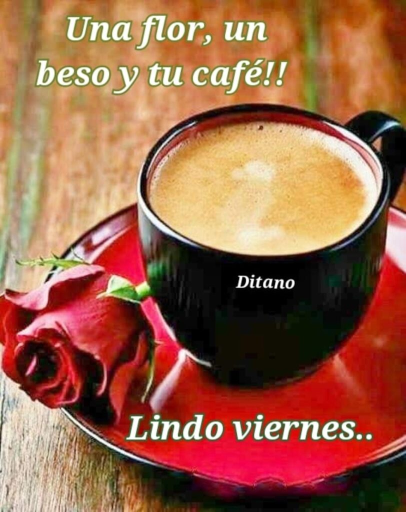 Una flor, un beso y tu café!! Lindo viernes..