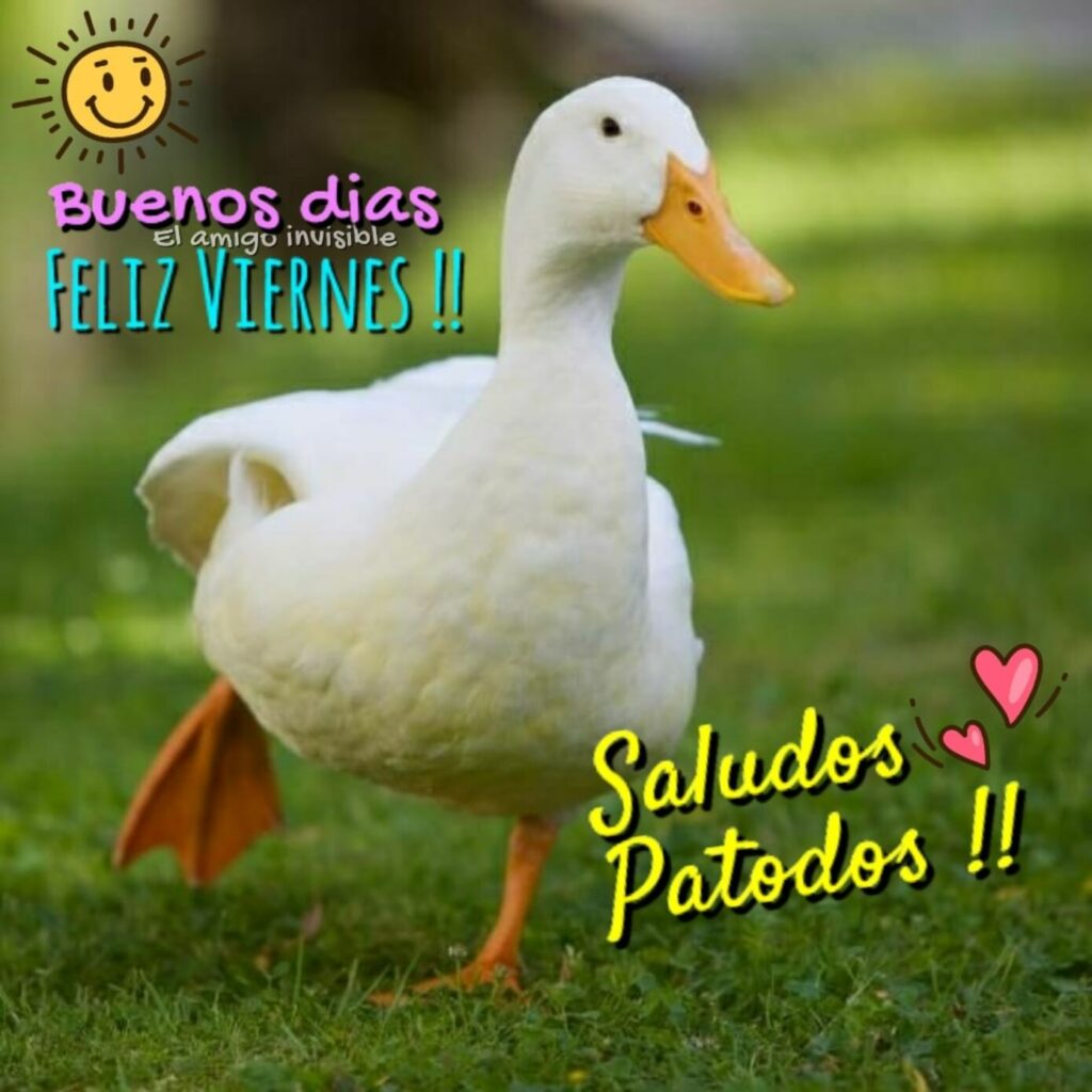 Buenos Días FELIZ VIERNES !! Saludos Patodos !!
