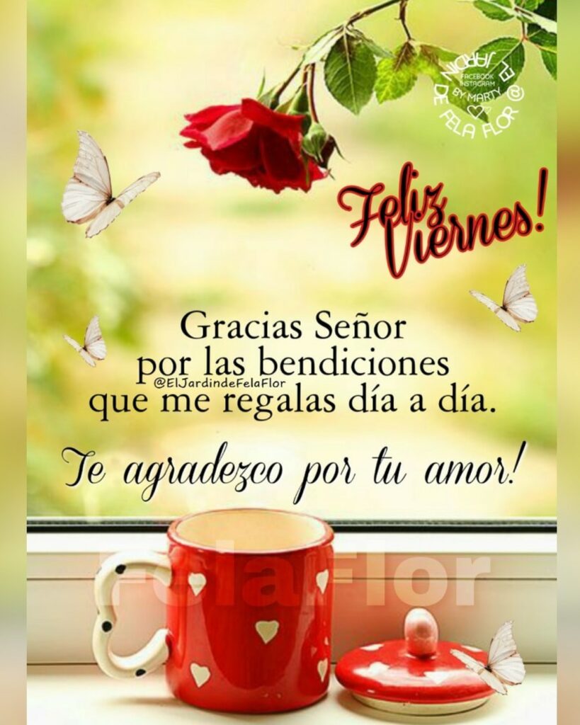 Feliz Viernes! Gracias Señor por las bendiciones que me regalas día a día. Te agradezco por tu amor !