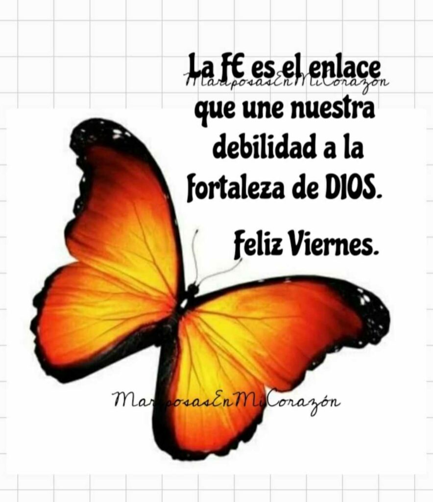 La fé es el enlace que une nuestra debilidad a la fortaleza de Dios, Feliz Viernes