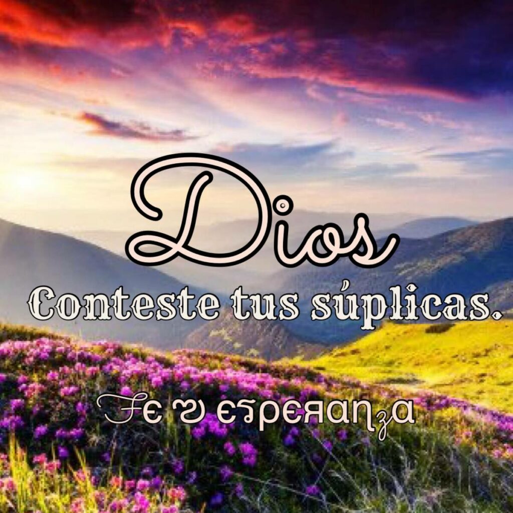 Dios conteste tus súplicas.