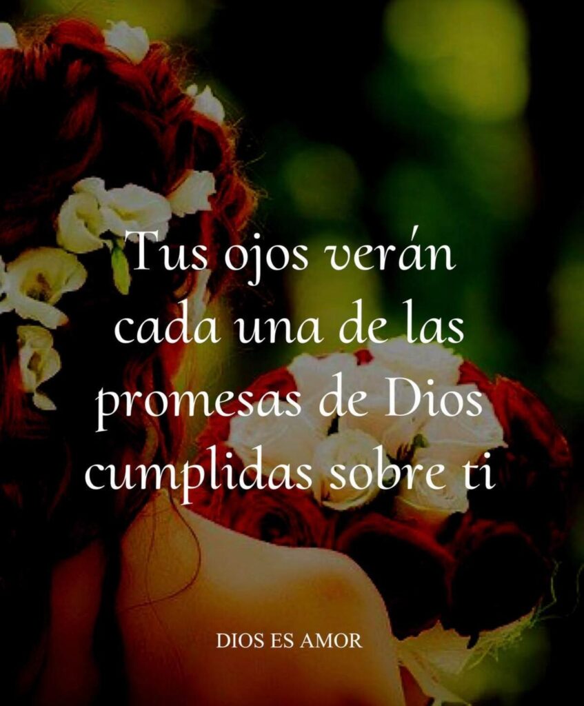 Tus ojos verán cada una de las promesas de Dios cumplidas sobre ti.