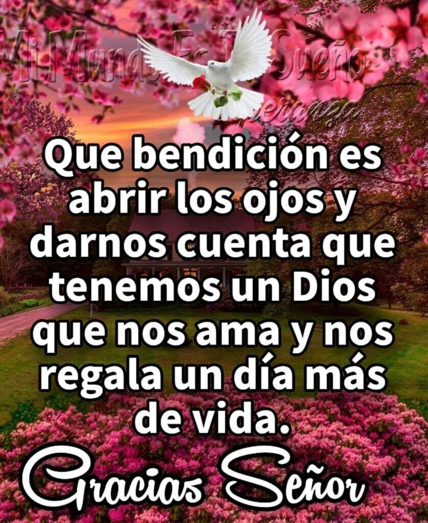 Que bendición es abrir los ojos y darnos cuenta que tenemos un Dios que nos ama y nos regala un día más de vida. Gracias Señor