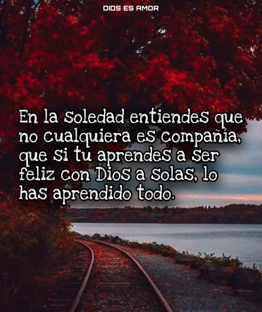 En la soledad entiendes que no cualquiera es compañia, que si tu aprendes a ser feliz con Dios a solas, lo has prendido todo.