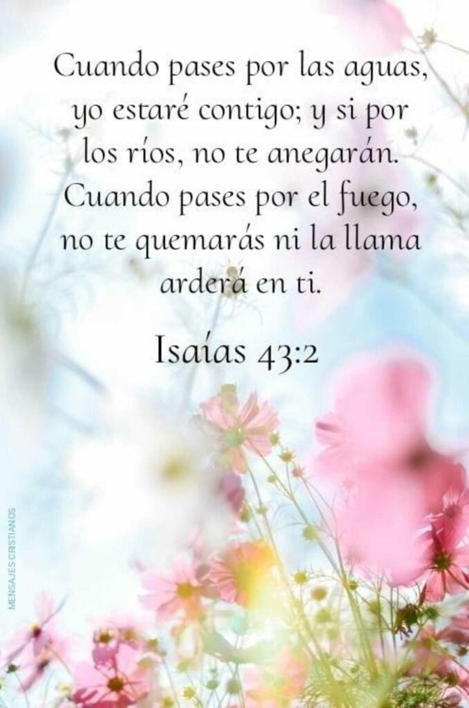 Cuando pases por las aguas, yo estaré contigo; y si por los rios, no te anegarán. Cuando pases por el fuego, no te quemarás ni la llama arderá en ti. - Isaías 43:2