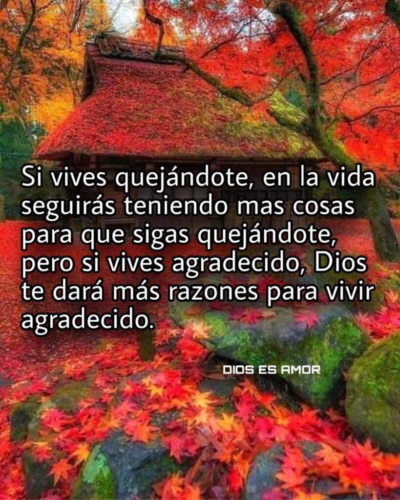 Si vives quejándote, en la vida seguirás teniendo más cosas para que sigas quejándote, pero si vives agradecido, Dios te dará más razones para vivir agradecido.