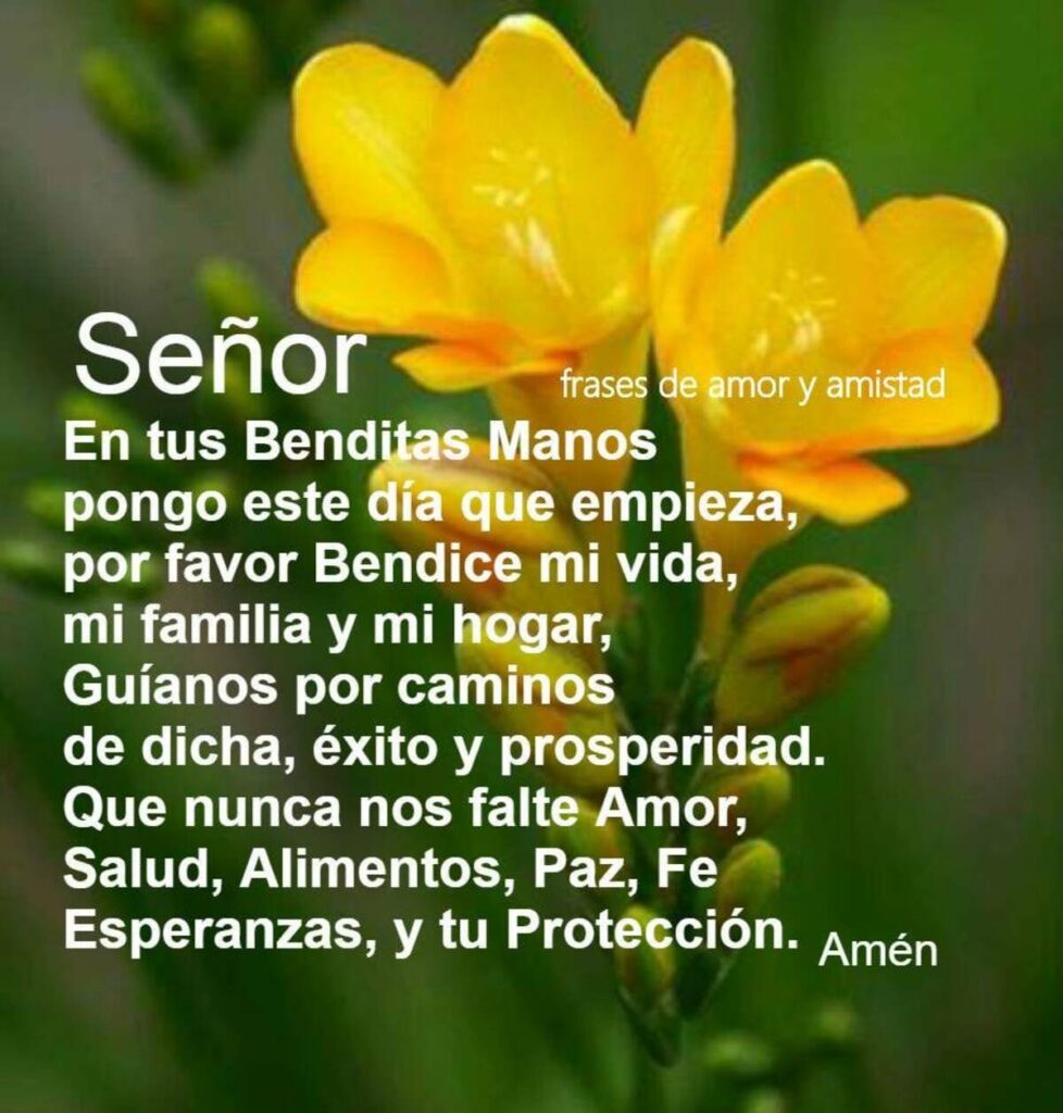 Señor, en tus benditas manos pongo este día que empieza, por favor bendice mi vida, mi familia y mi hogar.....