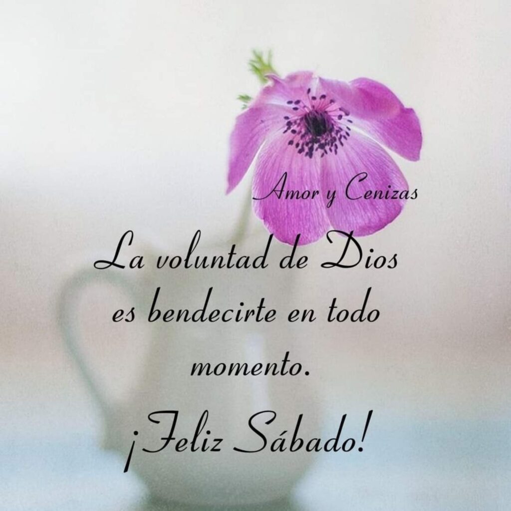 La voluntad de Dios es bendecirte en todo momento. ¡Feliz Sábado!