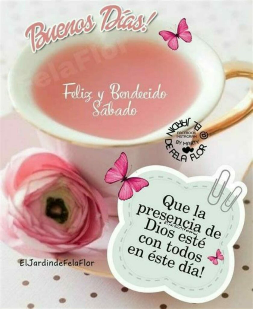 Buenos Días! Feliz y Bendecido Sábado, que la presencia de Dios esté con todos en éste día!