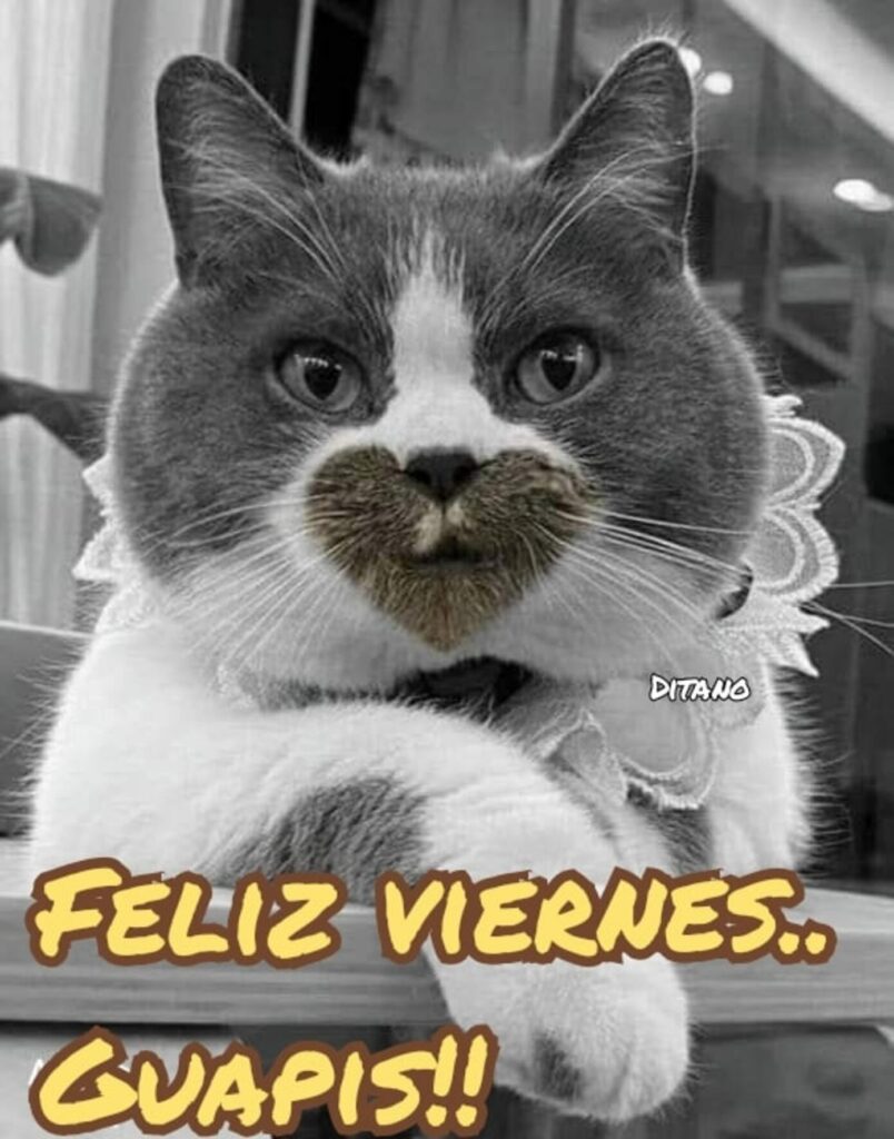 FELIZ VIERNES... GUAPIS!!