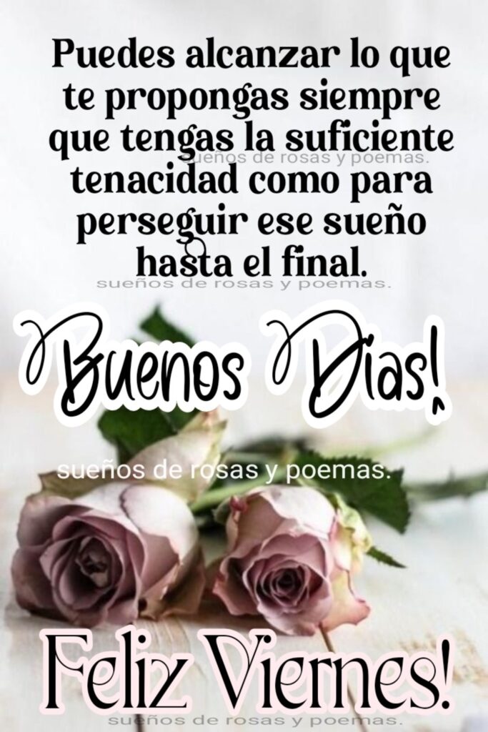 Puedes alcanzar lo que te propongas siempre que tengas la suficiente tenacidad como para perseguir ese sueño hasta el final. Buenos Días! Feliz Viernes!