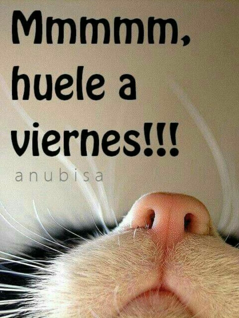 Mmmmm, huele a viernes!!! - imágenes chistosas