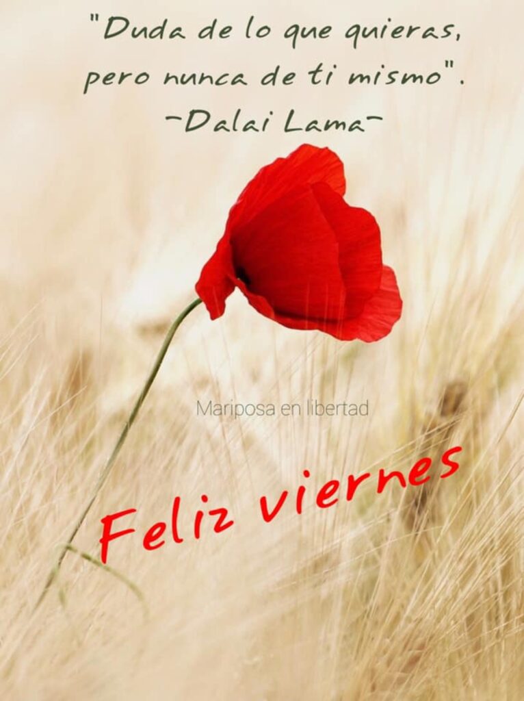 Feliz Viernes. "Duda de lo que quieras, pero nunca de ti mismo." - Dalai Lama