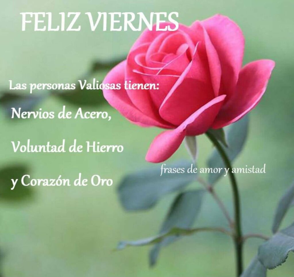 FELIZ VIERNES. Las personas valiosas tienen: nervios de acero, voluntad de hierro y corazón de oro.