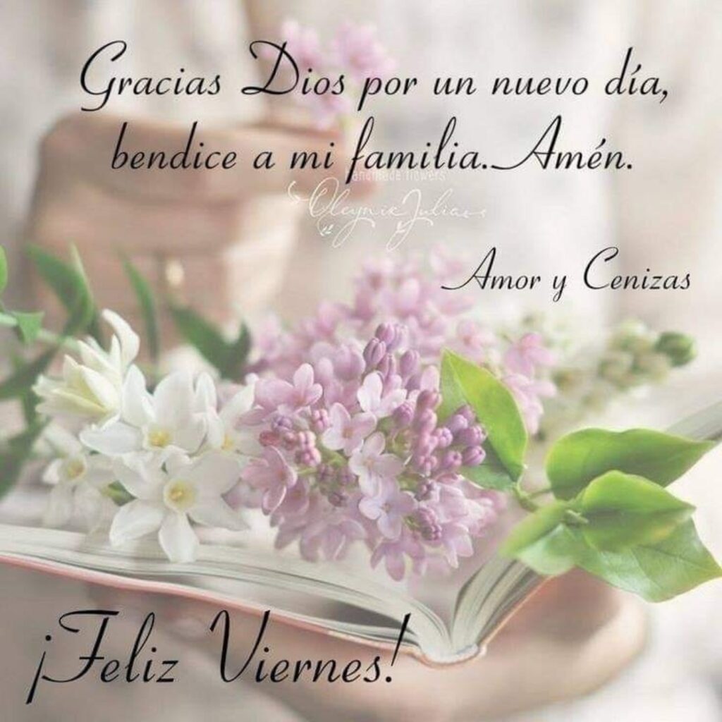 Gracias Dios por un nuevo día, bendice a mi famili, Amén. ¡Feliz Viernes!