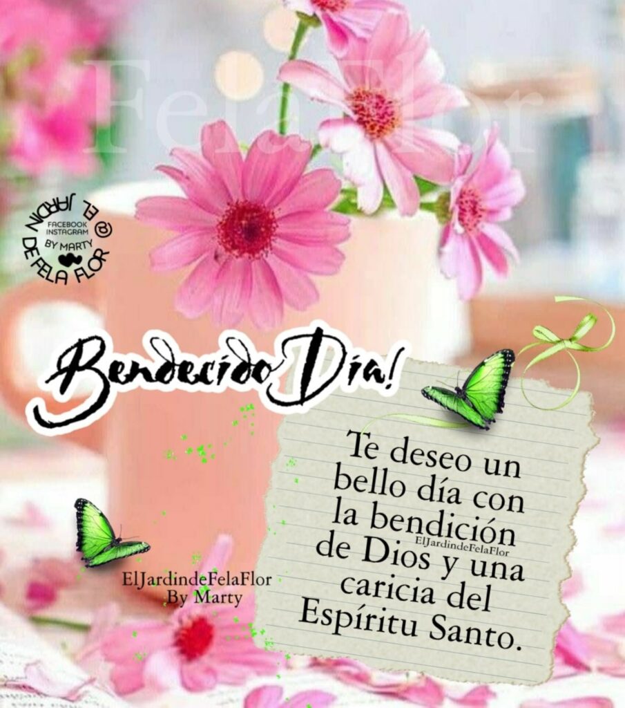 Te deseo un bello día con la bendición de Dios y una caricia del Espíritu Santo.