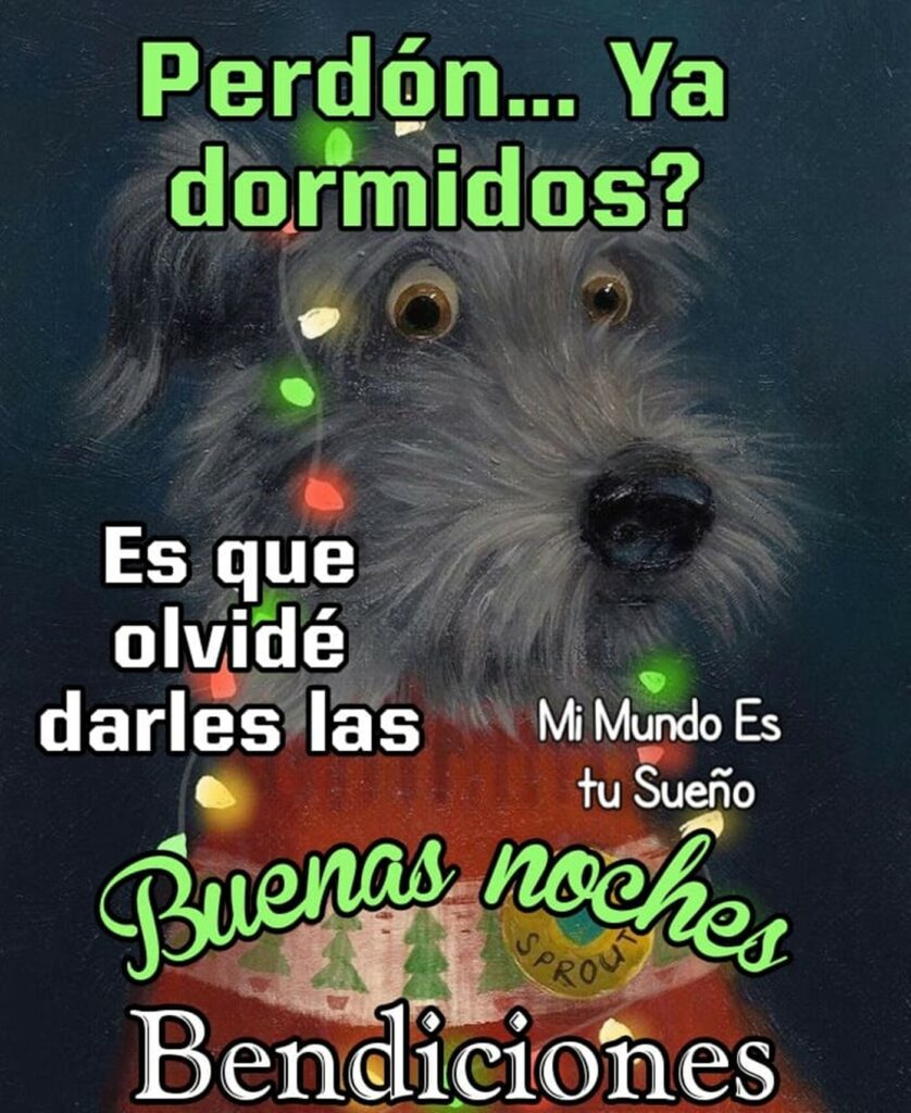 Buenas Noches Navidad