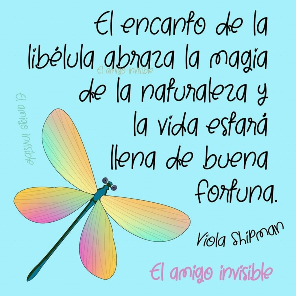 El encanto de la libélula abraza la magia de la naturaleza y la vida estará llena de buena fortuna. (Viola Shipman)