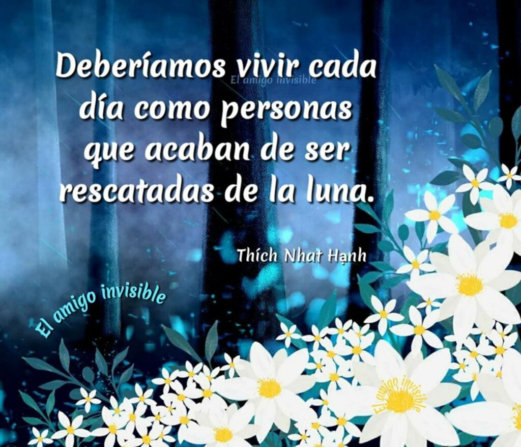 Deberíamos vivir cada día como personas que acaban de ser rescatadas de la luna. (Thíc Nhat Hanh)